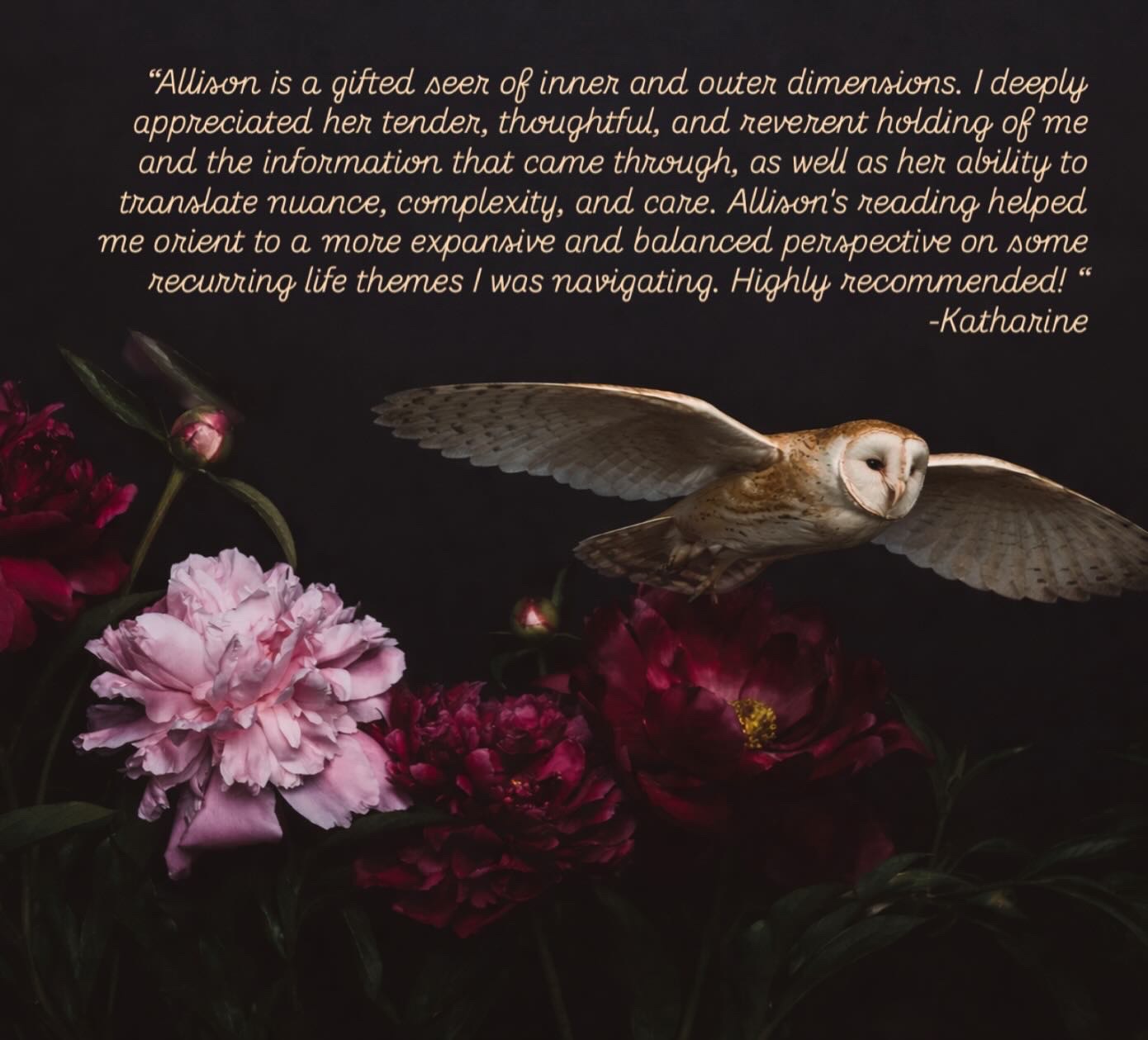 Barn owl in flight among peonies